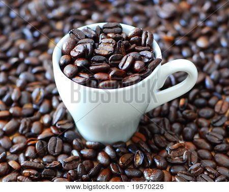 Šálek espresso fazole s pozadím coffee bean