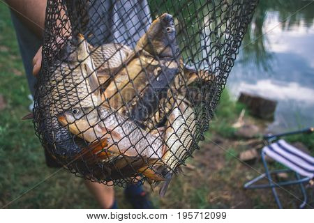 Fisherman's catch fish in nets on the pond