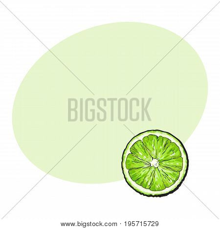 Top view round slice, half of ripe green lime, sketch style vector illustration with space for text. Hand drawn lime cut in half, round slice