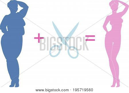 Vector Illustration Of Young Woman Before And After Plastic Surgery