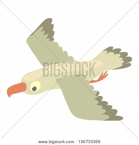 Gull icon. Cartoon illustration of gull vector icon for web
