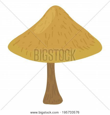 Boletus badius icon. Cartoon illustration of boletus badius vector icon for web