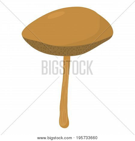 Yellow boletus mushroom icon. Cartoon illustration of yellow boletus vector icon for web