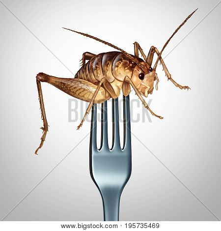 Eating insects and to eat bugs as exotic cuisine and alternative high protien nutrition food as a fork in a cricket insect as a symbol for entomophagy with 3D illustration elements.