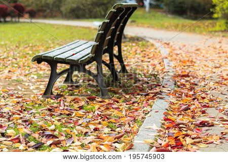 Japan autumn Wooden bench and beautiful autumn leaves in in soft focus and blur style Obuse park NaganoJapan.