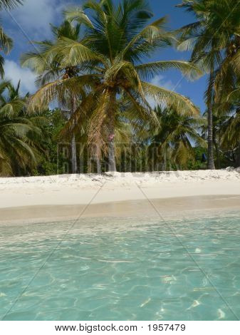 Caribbean Dream Beach