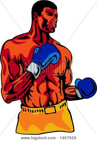 Boxer připraven k boji