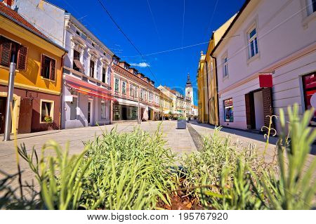 Town Of Cakovec Main Street View