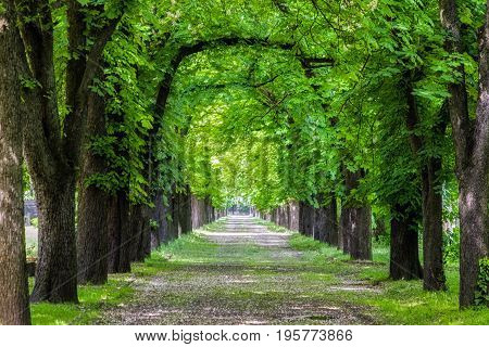 BUDAPEST HUNGARY - MAY 8: Kerepesi - historic cemetery on May 8 2017 in Budapest