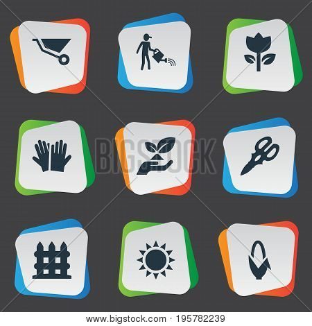 Vector Illustration Set Of Simple Gardening Icons