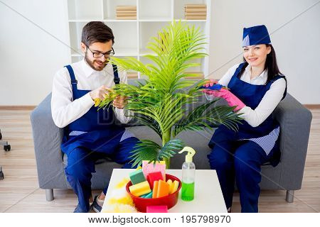 Cleaning service team vaccuuming, dusting and watering plants