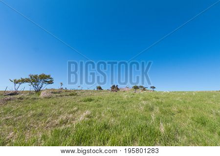 Beautiful landscape mountain view of Utsukushigahara is one of the most important and popular natural place in Nagano Japan.