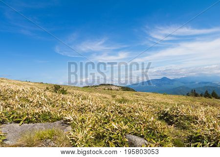 Beautiful landscape mountain view of Utsukushigahara is one of the most important and popular natural place in Nagano Japan.