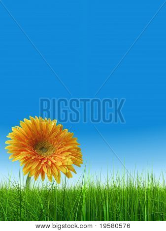 haute résolution 3d green grass sur un ciel bleu en arrière-plan et une fleur de gerbera jaune sympa