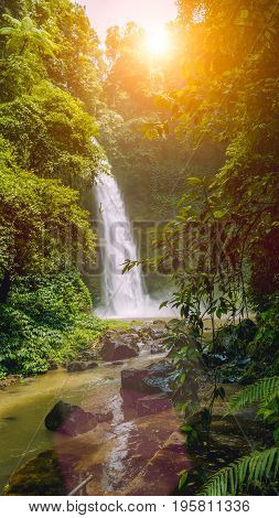 Sunlight over Jungle Nungnung waterfall, Bali Indonesia