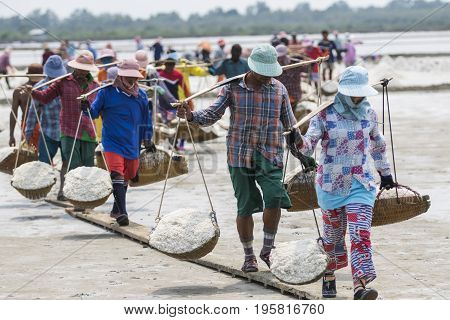 PETCHABURI THAILAND - MARCH 232015 : worker working in natural sea salt farm ban laem district petchaburi central of thailand