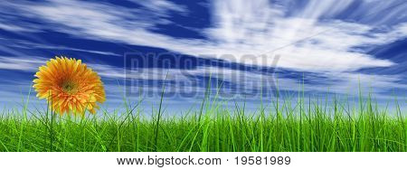 haute résolution 3d green grass sur une bannière de ciel bleu avec des nuages blancs dans le fond et une belle yel