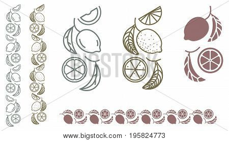 Lemon tree branch. Set of monochrome designer element