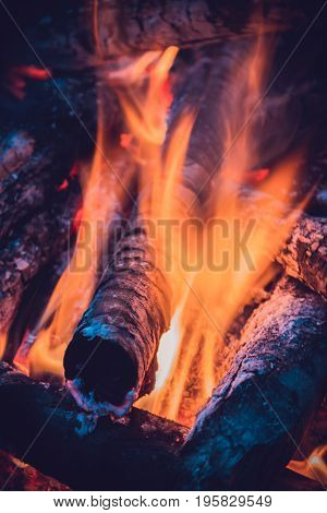 Burning firewood in the woods in the evening