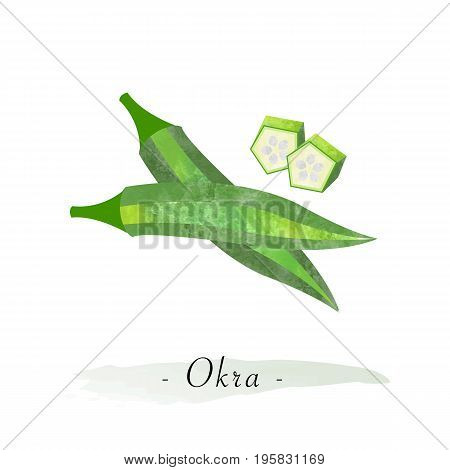 Colorful watercolor texture vector healthy vegetable okra gumbo