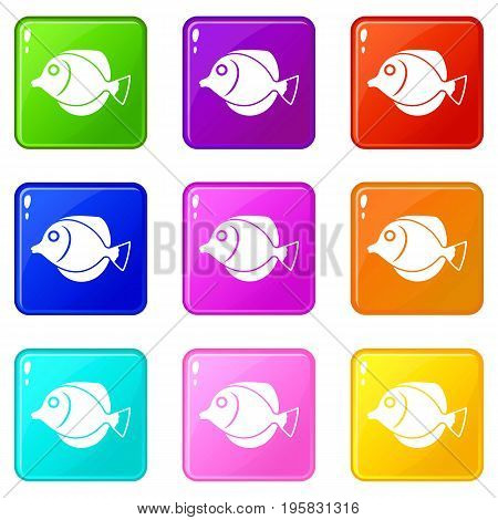 Tang fish, Zebrasoma flavescens icons of 9 color set isolated vector illustration