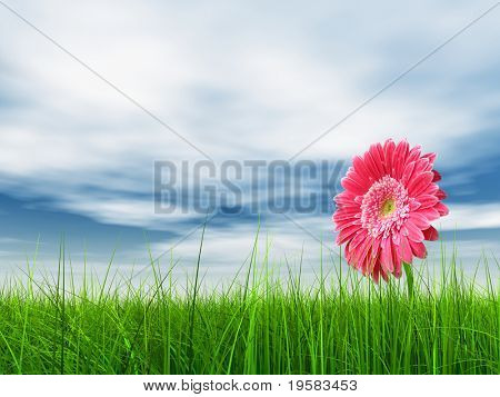 haute résolution 3d green grass sur un ciel bleu avec des nuages blancs dans le fond et une belle gerbe rose
