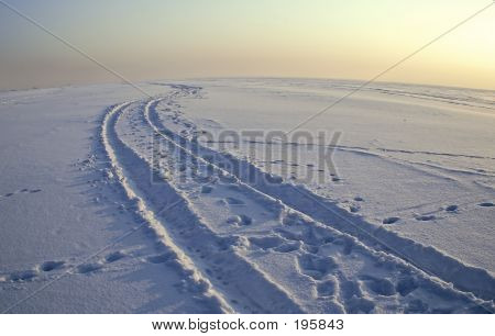 Éternellement froid