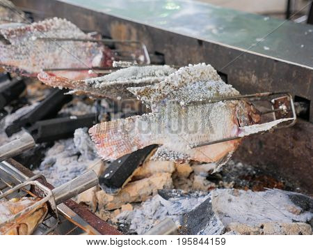 Grilled Cichlidae Fish With Salt,