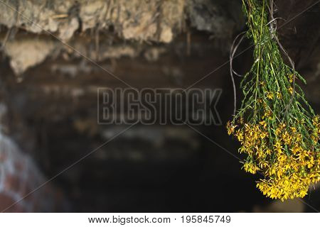A bunch of dried yellow flowers in the old attic with copy space.