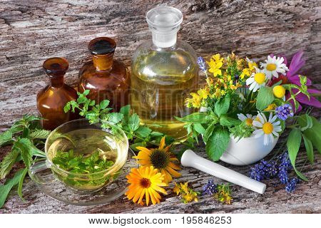 Cup of herbal tea with tincture bottles and healing herbs in mortar on wooden table. Herbal medicine. Medicinal plants