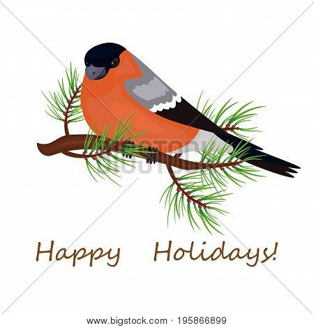 Bird a bullfinch sits on the branch. Christmas card poster. Stock vector.