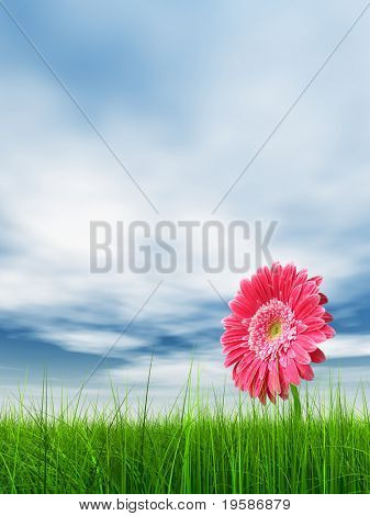 Haute résolution 3d green grass sur un ciel bleu avec des nuages blancs dans le fond et une belle gerbe rose