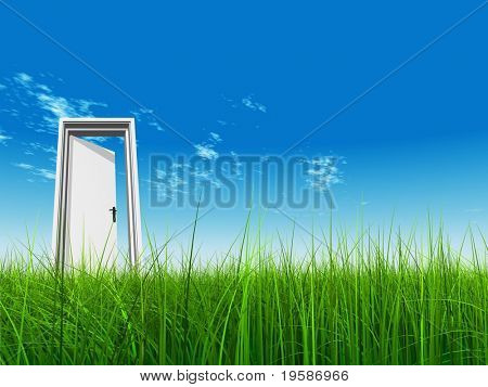 Haute résolution 3D blanc porte ouverte dans l'herbe à un fond de beau ciel avec des nuages blancs