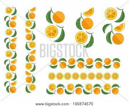 Orange tree branch. Set of colored design elements
