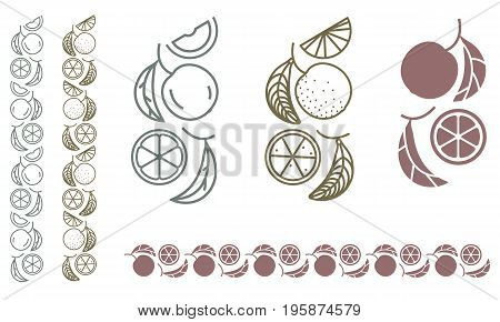 Orange tree branch. Set of monochrome designer elements