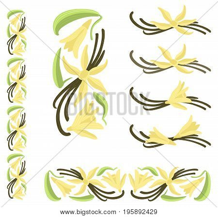 Dried vanilla fruits and flower. Multicolor decor elements