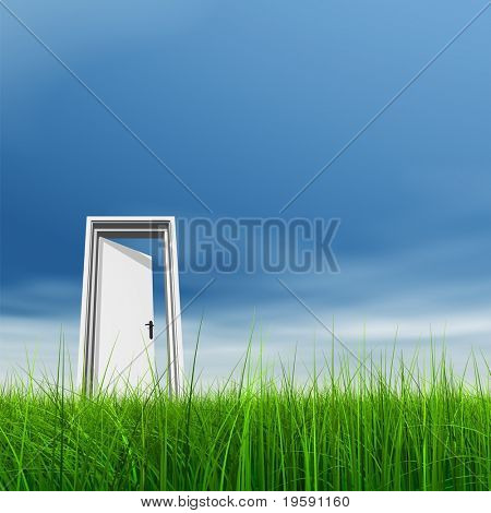 Haute résolution 3D blanc porte ouverte dans l'herbe à un fond de beau ciel avec nuages