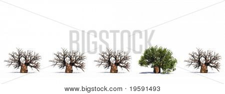 Vysoké rozlišení 3D koncepční baobab stromy řádek s jednou Zelený strom stojící z davu, isolat