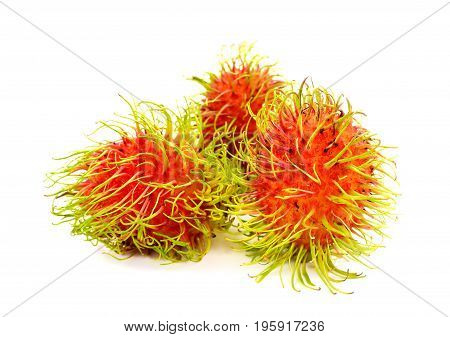 Fresh rambutan fruit on white background asia fruit