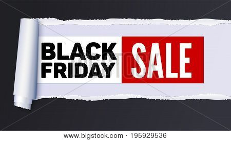 Black Friday Sale action banner, poster. Sellings ad information over realistic torn paper backdrop. Torn strip of paper with uneven, torn edges. Coiling torn strip of paper. Template for business.