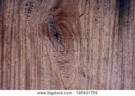 Old wooden texture with gnarl in brown tone.