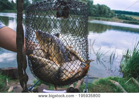 Fisherman's catch fish in nets on the pond
