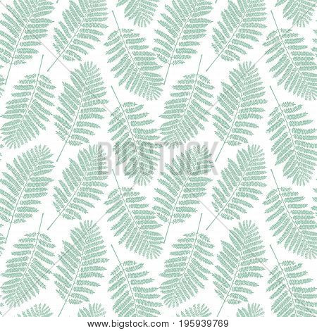 Fern leaf pattern. Vector illustration. Decor element