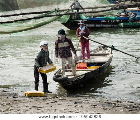 Workers bringing baskets with shrimps to the shoreside. December 26 2013 - Da Nang, Vietnam