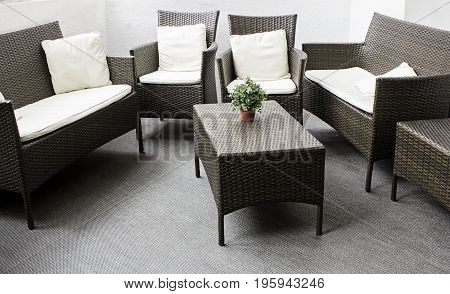 Living room with wengue armchairs detail of interior decoration comfort and rest