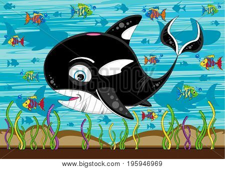 Killer Whale & Fish Scene