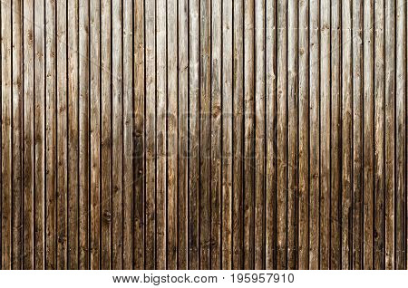 Natural brown barn wood wall. Wooden wall background design. Wood planks, boards are old with a beautiful rustic look. Timber design style.
