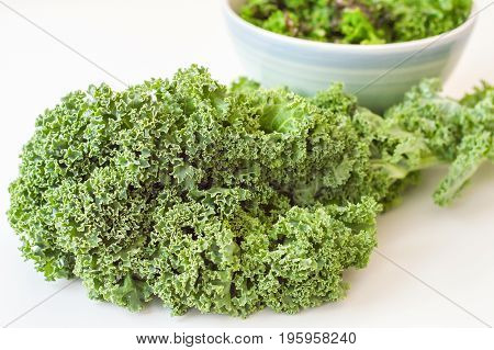 Fresh kale leaves on white background. Kale cabbage. Salad ingredient. Healthy food