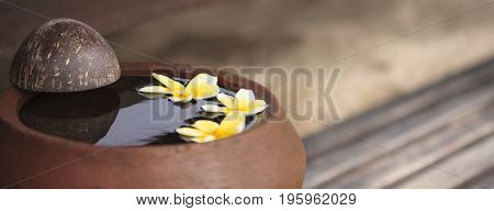 Touching nature. Clay jug relaxing and peaceful with flower plumeria or frangipani decorated on water in bowl in zen style for spa meditation mood