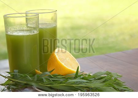 Two glass glasses with a drink from the leaves of the tarragon and lemon